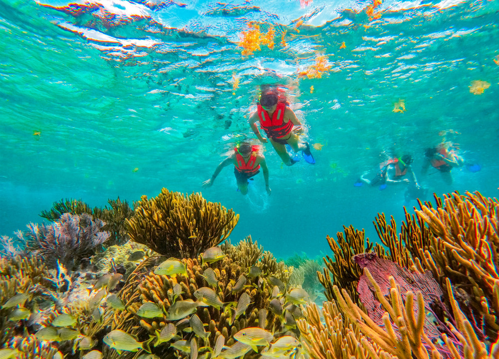 Reef Snorkeling In National Park From Cancun With Beachside Lunch 