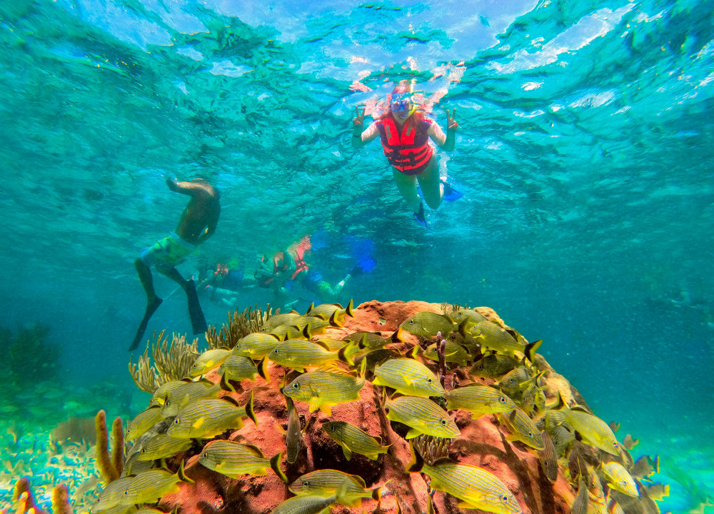 Reef Snorkeling In National Park From Cancun With Beachside Lunch 