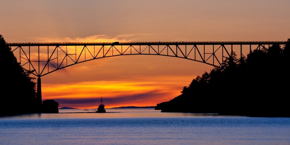 Deception Pass + Winter Birding Tour