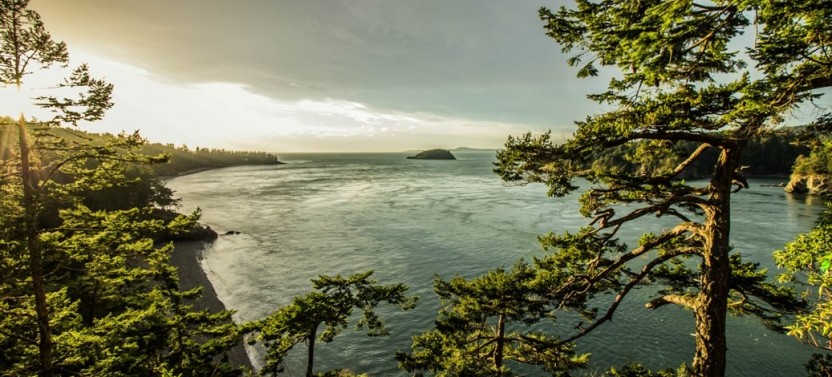Deception Pass + Winter Birding Tour