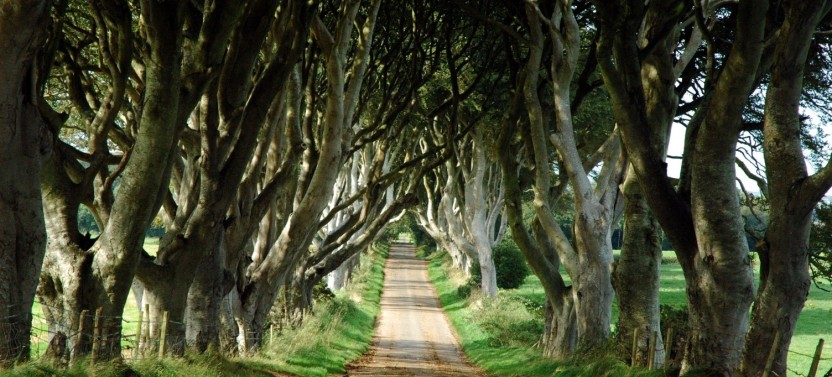 Game of Thrones Tour from Belfast with Giant’s Causeway
