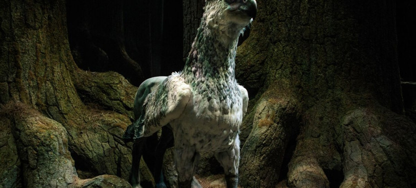 Warner Bros. Studio Tour from London (Victoria and King's Cross Options)