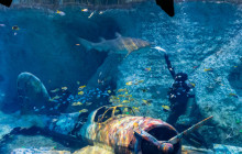 Rayna Tourism1