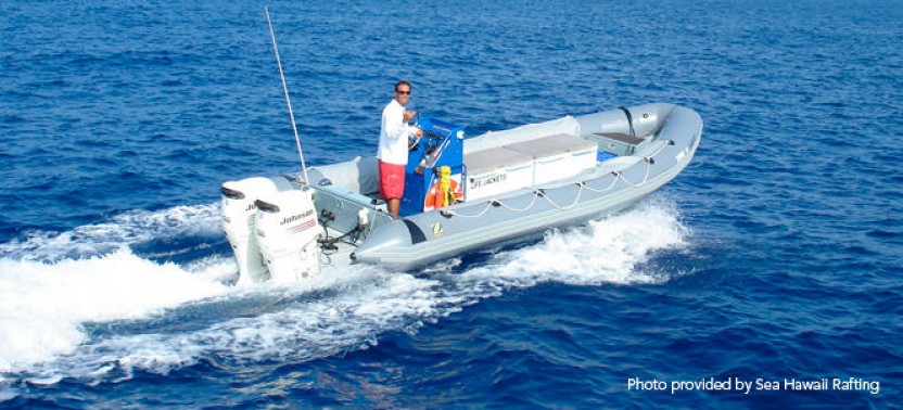 Cruise Excursion - Zodiak & Snorkeling Adventure (Kona)