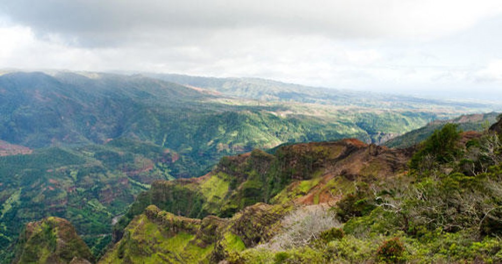 Cruise Excursion - Kauai - Journey To Waimea Canyon