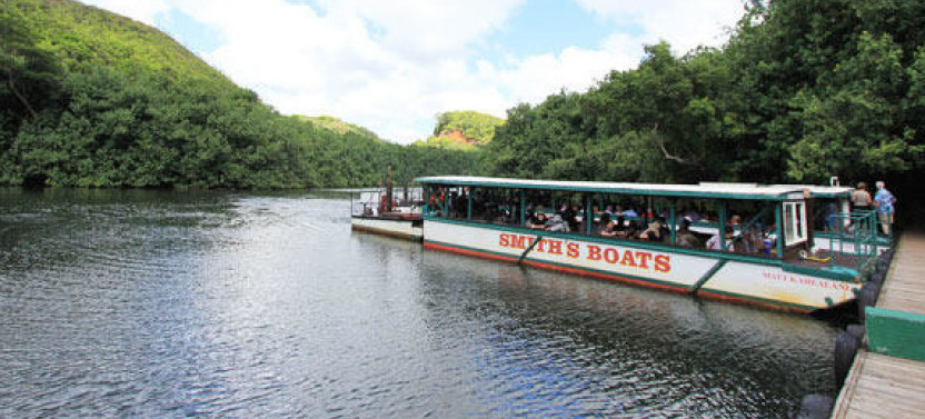 Cruise Excursion - Kauai - Wailua River Cruise & Fern Grotto