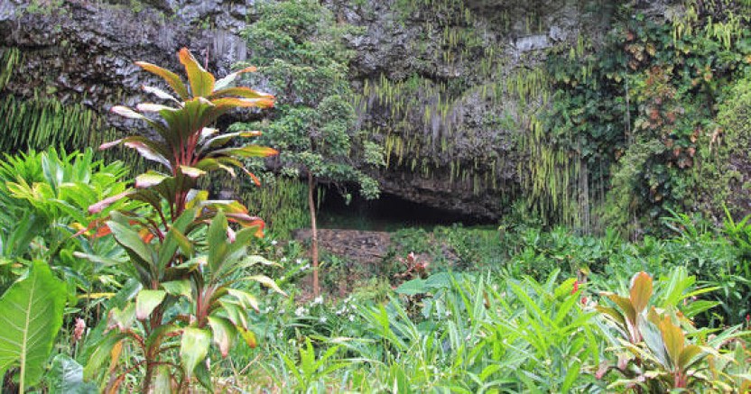 Cruise Excursion - Kauai - Wailua River Cruise & Fern Grotto