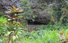 Cruise Excursion - Kauai - Wailua River Cruise & Fern Grotto