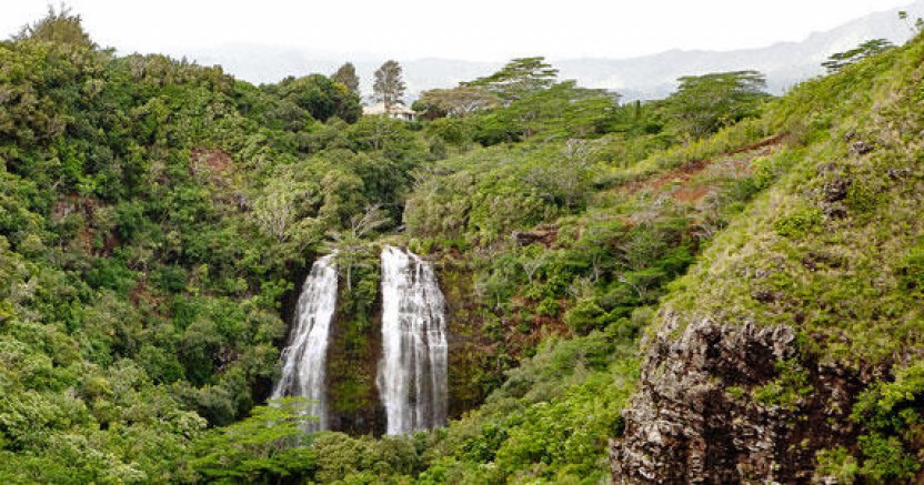 Cruise Excursion - Kauai - Wailua River Cruise & Fern Grotto