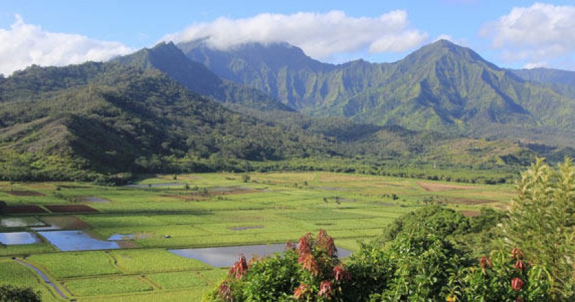Cruise Excursion - Kauai - Hawaii Movie Tours