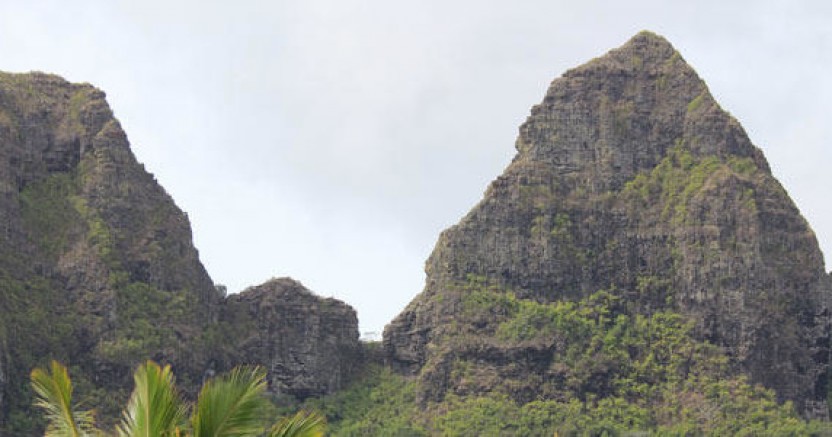 Cruise Excursion - Kauai - Hawaii Movie Tours