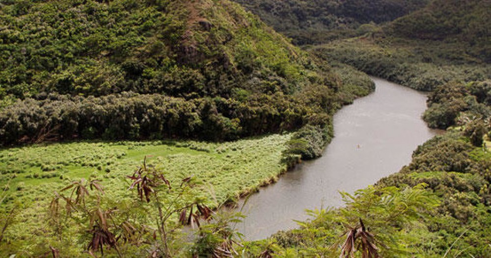 waimea river cruise