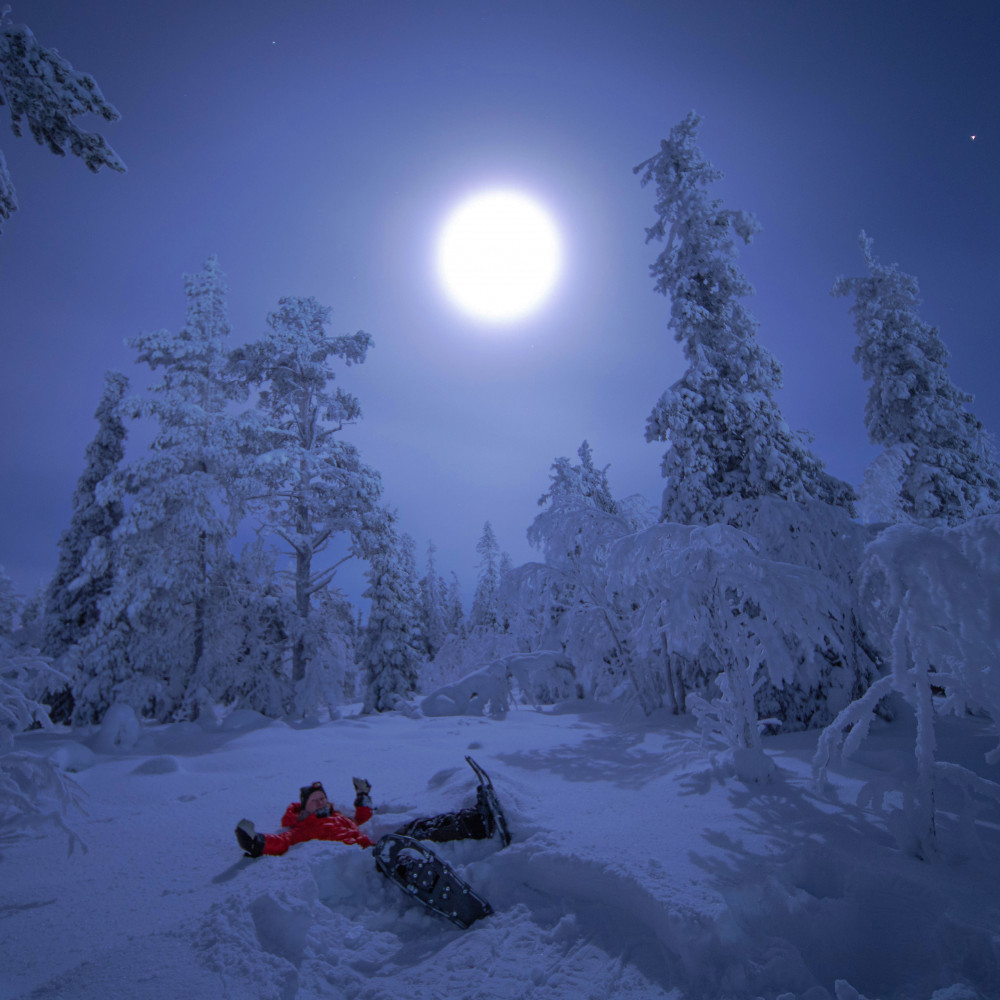 Evening Magic Reindeer Feeding & Northern Lights Snowshoe Experience