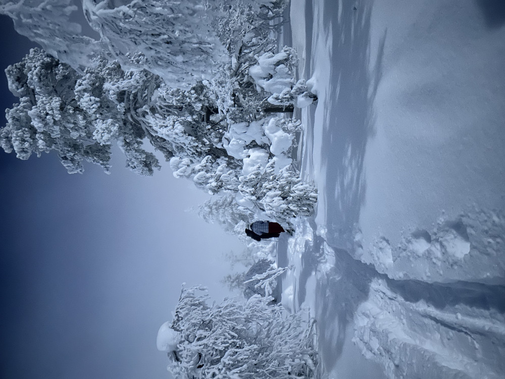 Evening Magic Reindeer Feeding & Northern Lights Snowshoe Experience