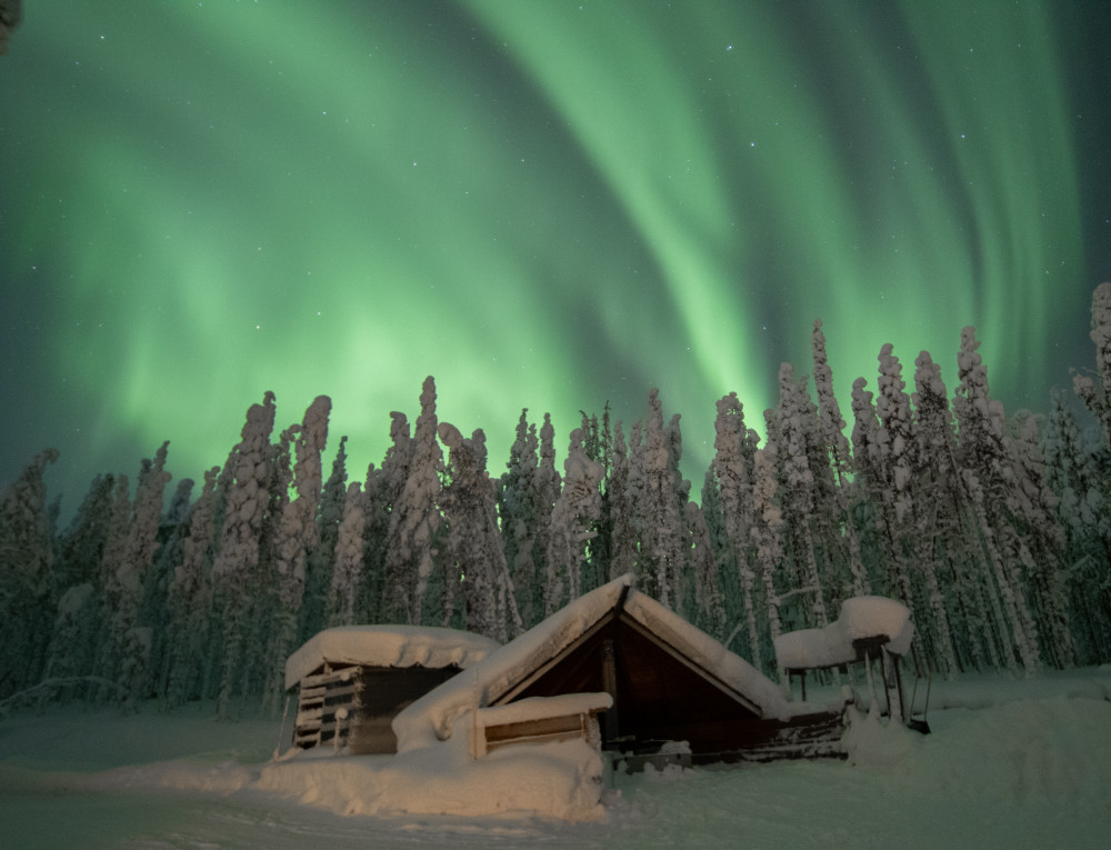 Evening Magic Reindeer Feeding & Northern Lights Snowshoe Experience