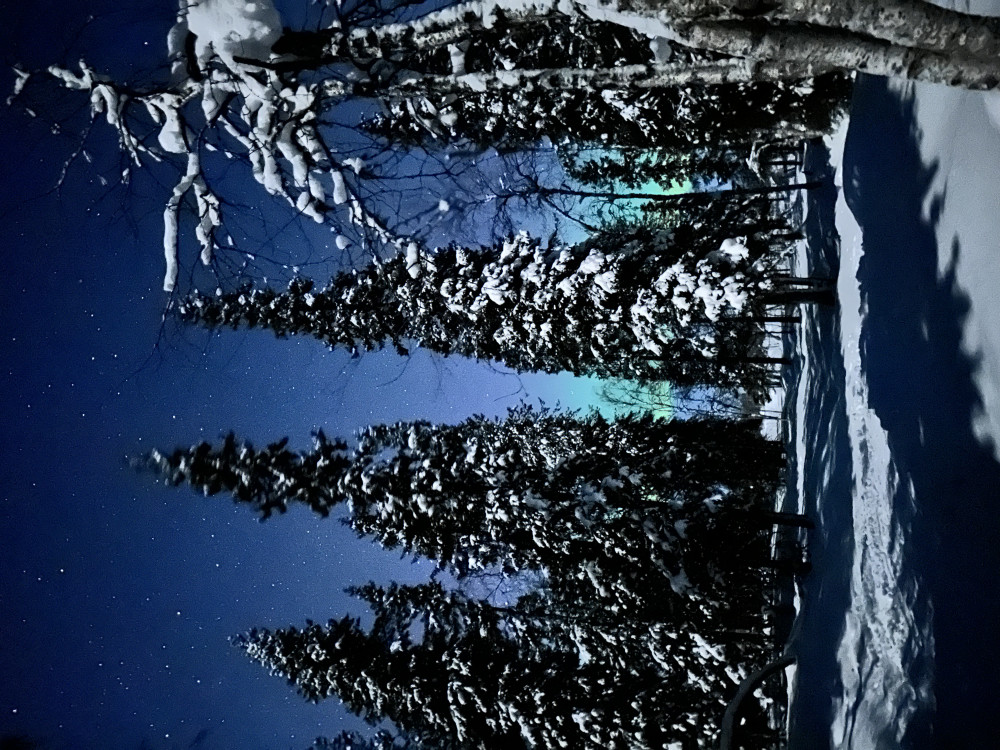 Evening Magic Reindeer Feeding & Northern Lights Snowshoe Experience