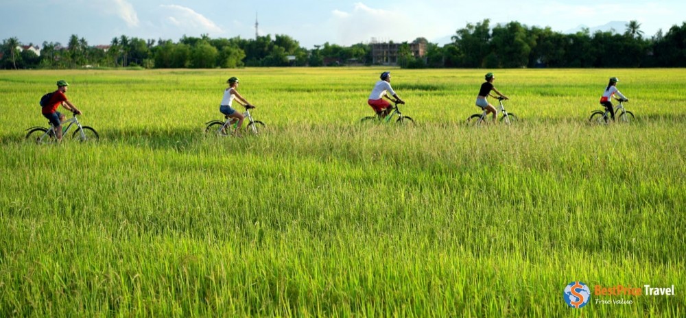 Private Hoi An Countryside by Bike