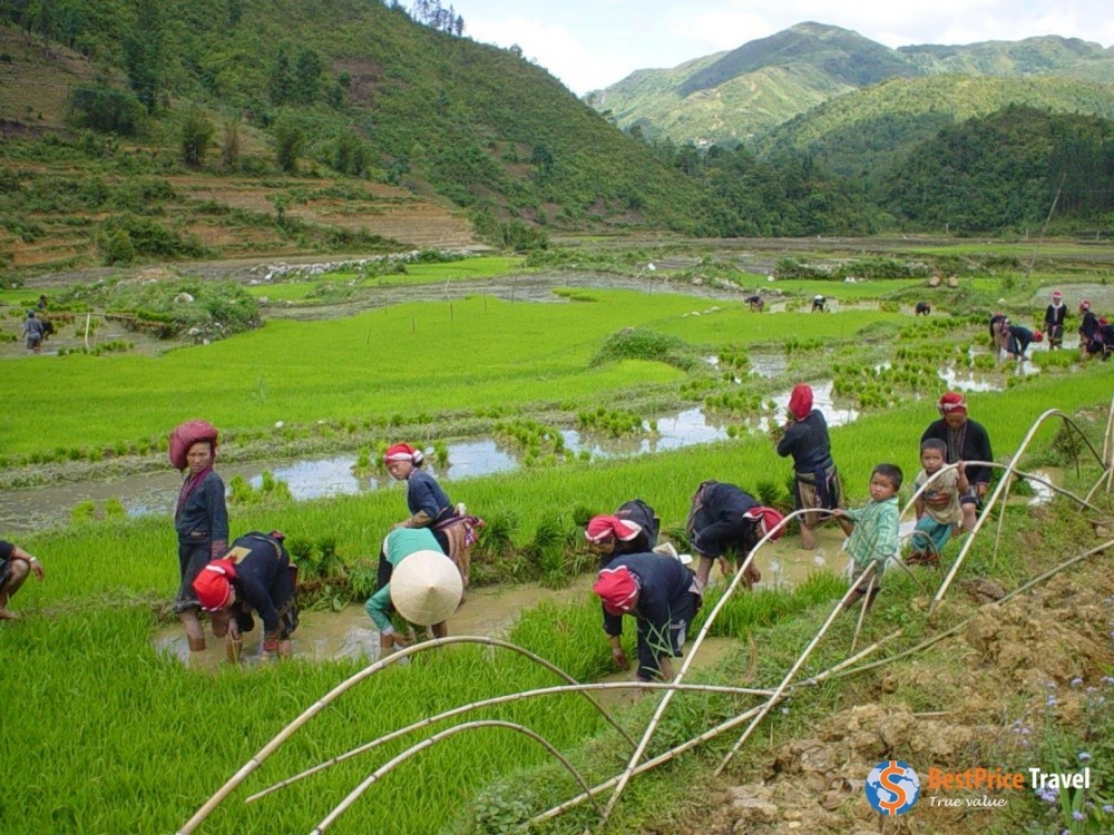 Private Biking to Red Dao Village of Ta Phin Half day