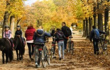 Holland Bikes - Paris6