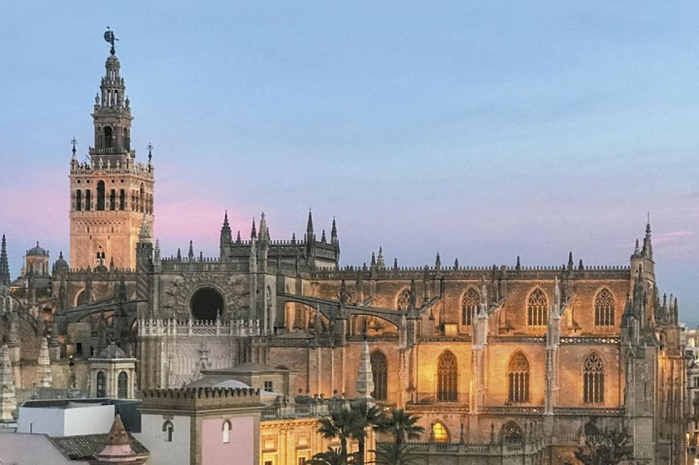 Private: Panoramic Highlights Tour & Paella Cooking Class Sevilla