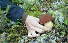 Nordic Unique Travels1