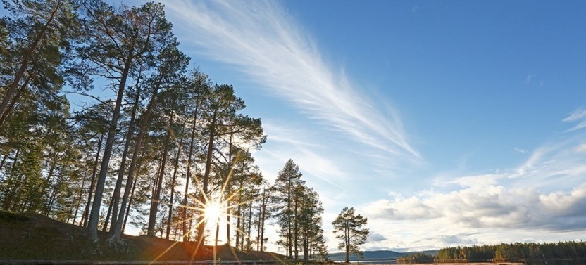 Taste of Lapland
