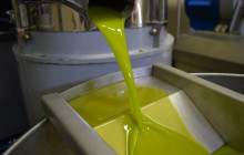 Arcadia Emme Viaggi srl3