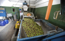 Arcadia Emme Viaggi srl5