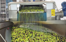 Arcadia Emme Viaggi srl6