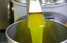 Arcadia Emme Viaggi srl7