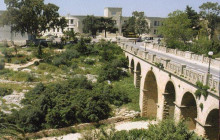 Arcadia Emme Viaggi srl20