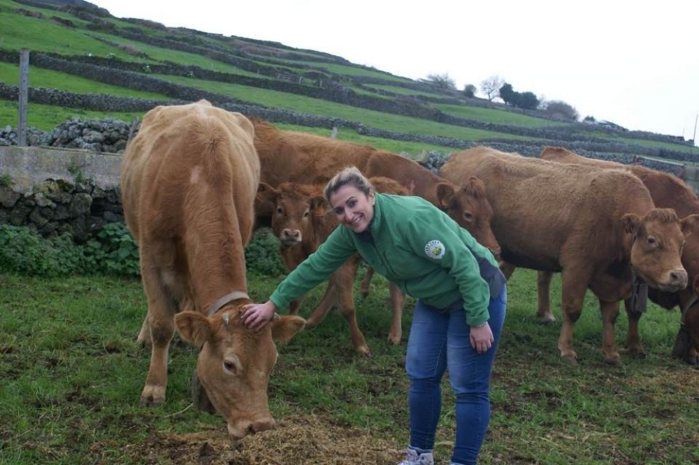 Private Tour: Day at The Farm