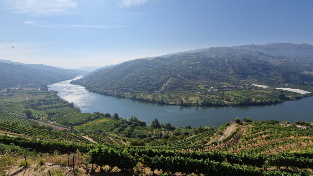 Tour of the Douro Valley Visiting 2 Wineries & Wine Tasting & Boat Trip