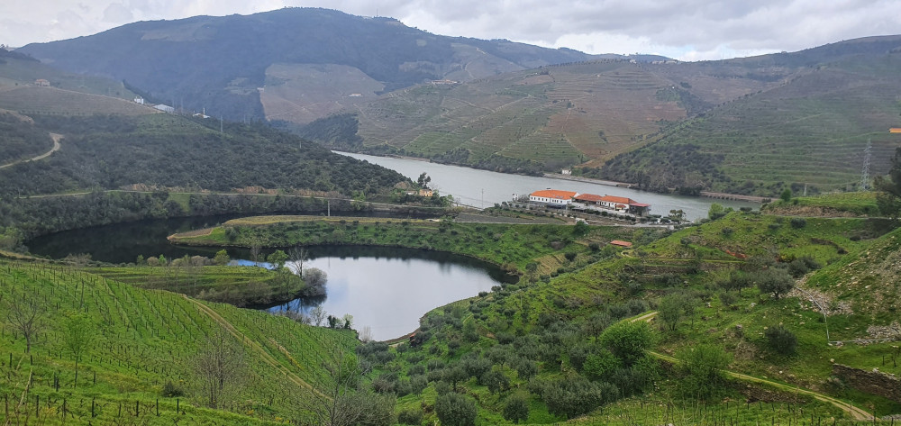 Douro Valley Tour from Gaia includes Winery Visit, Wine Tasting & Boat Trip