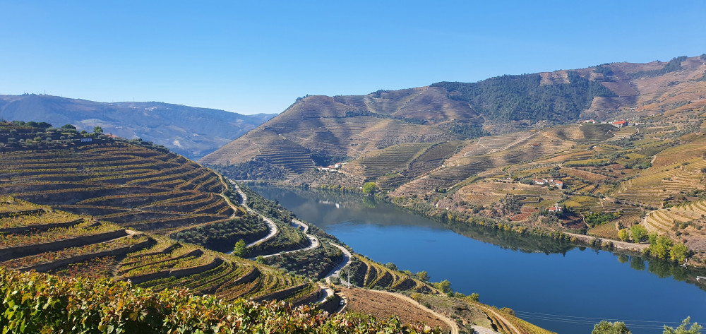 Tour of Douro Valley with Train and Vinho Verde