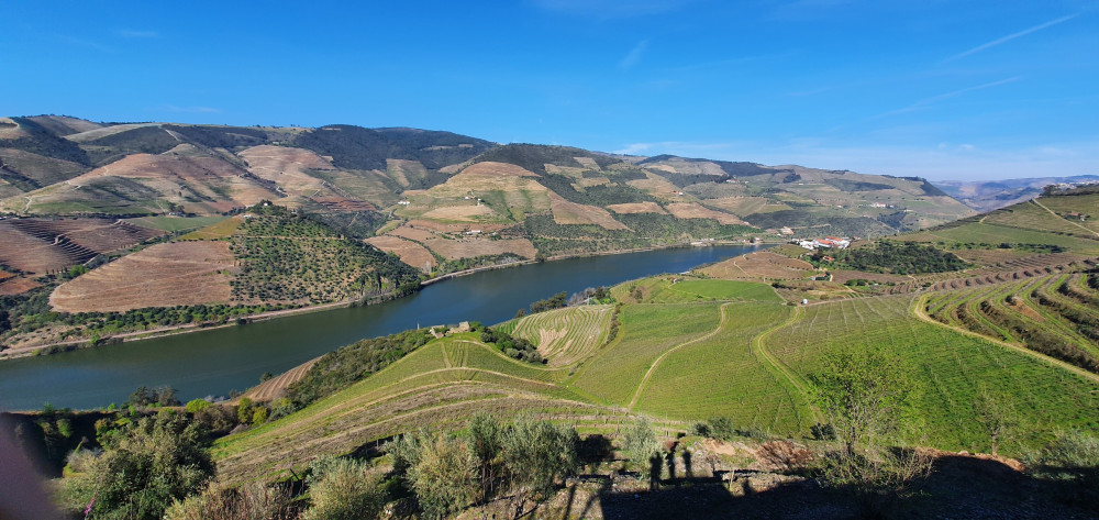 Mobility Visit the Douro Valley from Porto