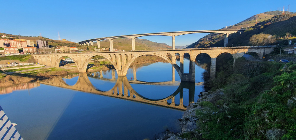 Private Tour to the Douro Valley with Train and Green Wine