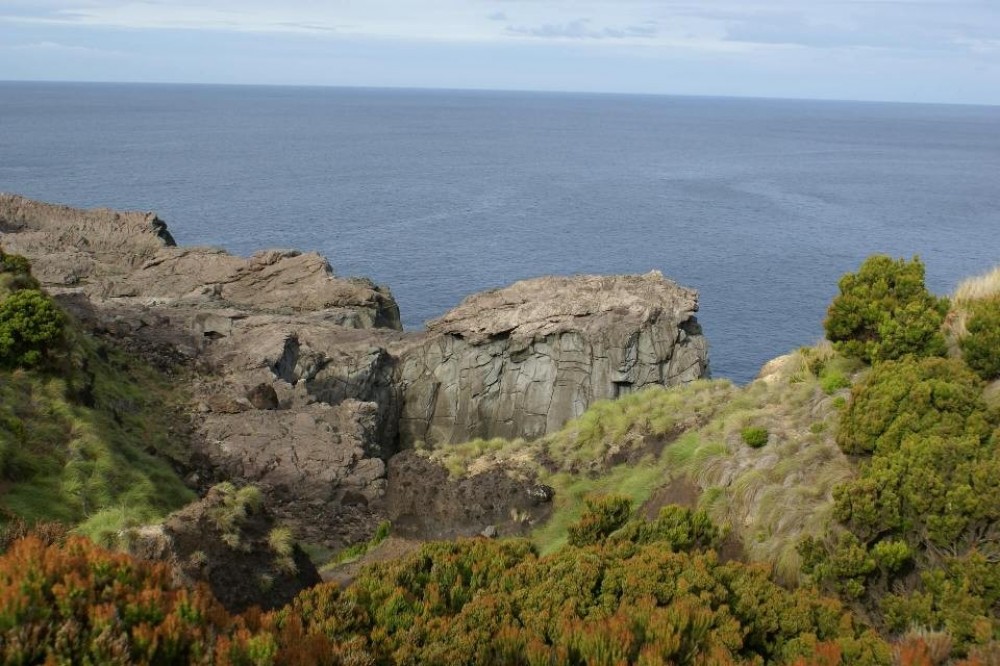 Baia dos Baleeiros Hike