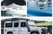 Private: Whale Watching + Jeep Tour