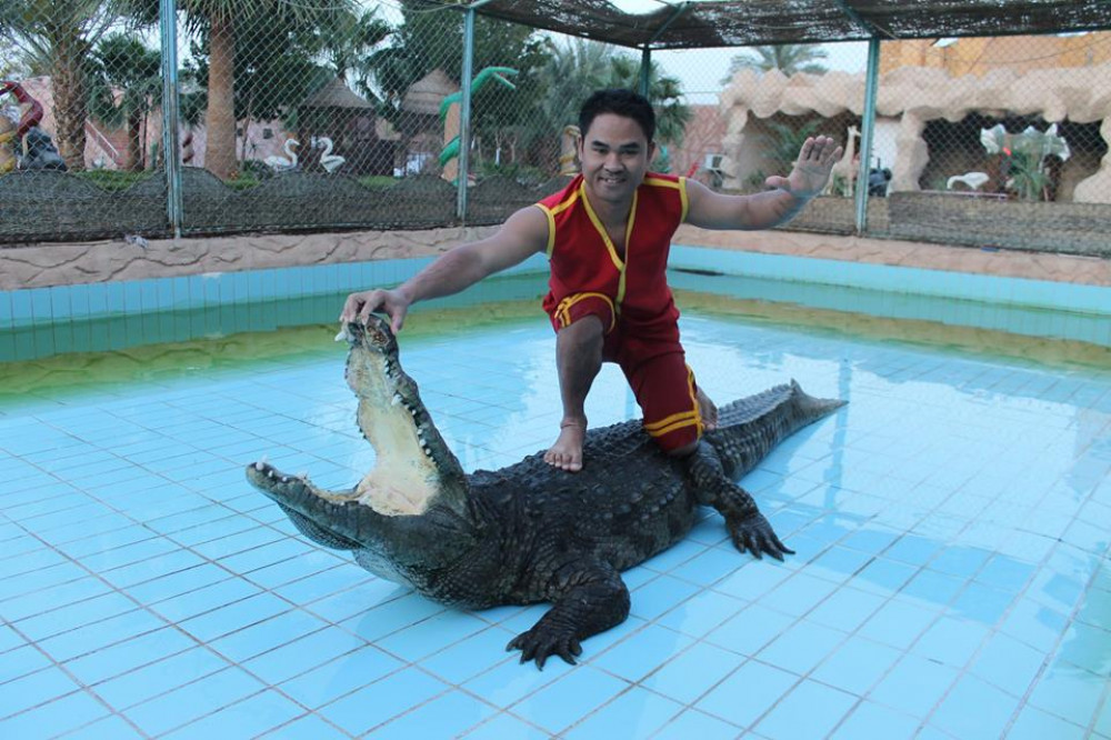 Crocodile, Snake, Fire & Tanoura Show in Sharm El Sheikh