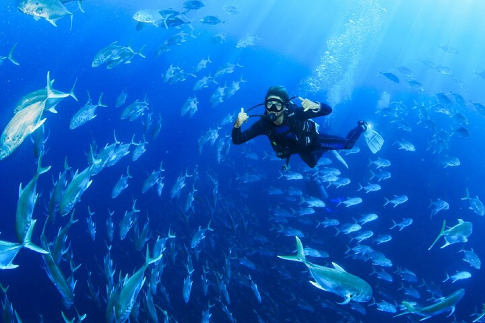 Cabo San Lucas Certified 2 Tank Dive At the Famous Arch and Land's End