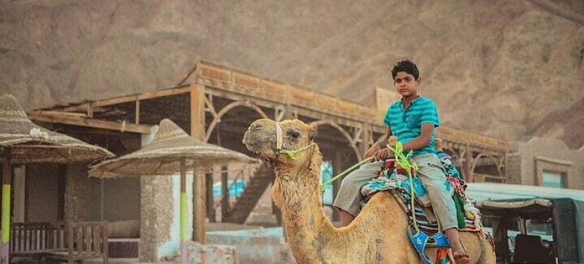 Day Tour Adventure to Salama Color Canyon and Dahab