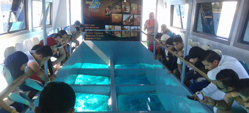 Glass Bottom Boat Tour: Explore The Red Sea Wonders