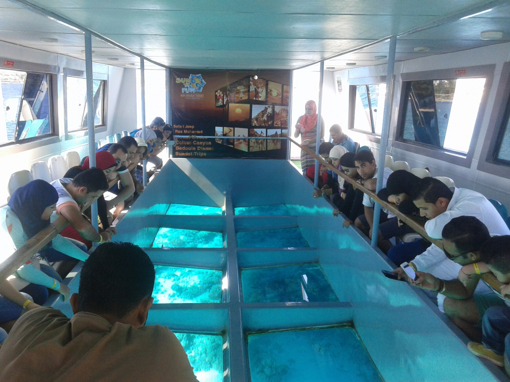 Glass Bottom Boat Tour: Explore The Red Sea Wonders