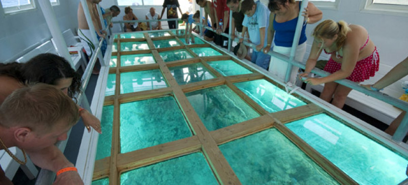 Glass Bottom Boat Tour: Explore The Red Sea Wonders