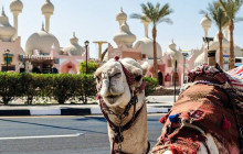 Stepway Tours11
