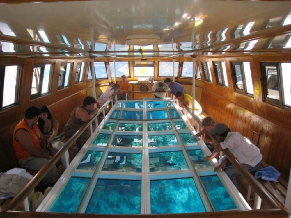 Private Glass Bottom Boat Tour: Explore The Red Sea Wonders