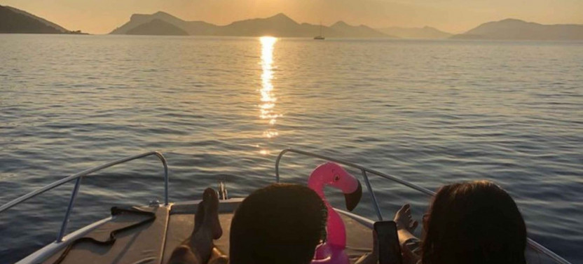 Private Speed Boat Tour or Sea Safari | Discovering the Depths
