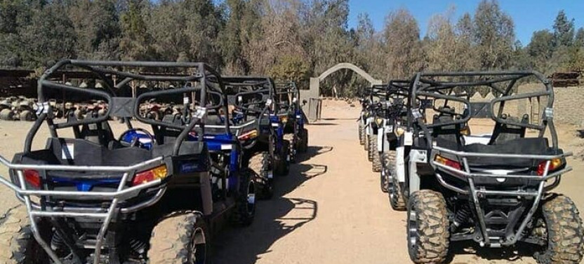 Private Trip | The Ultimate Quad & Buggy Safari in Sharm El Sheikh