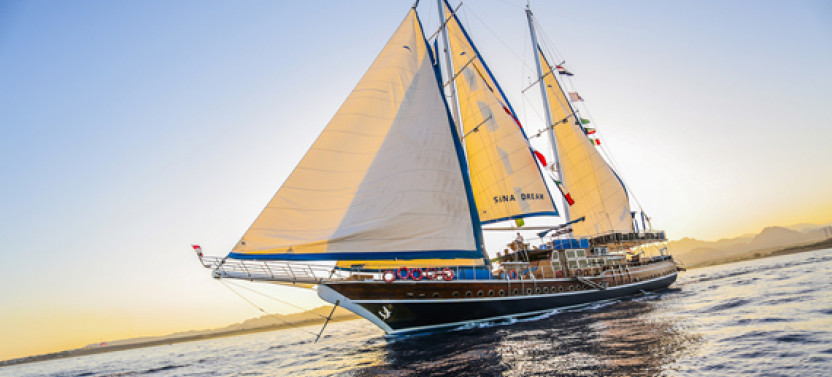 Red Sea Rendezvous: Dinner Cruise + Oriental Show & Seafood Feast